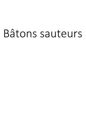 Bâtons sauteurs clicktofournisseur.com