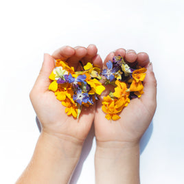 Biens et monnaie virtuels clicktofournisseur.com