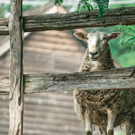 Clôtures et barrières clicktofournisseur.com