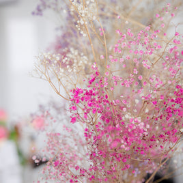 Fleurs séchées clicktofournisseur.com