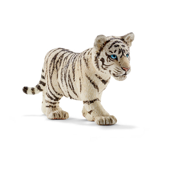 Petit tigre blanc