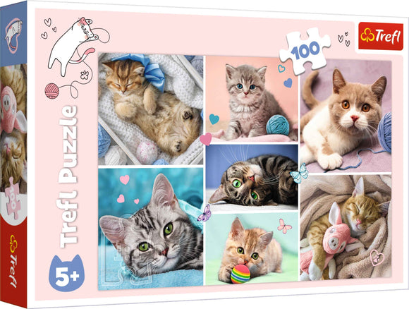 Puzzle TREFL Dans le monde des chats 100 pièces
