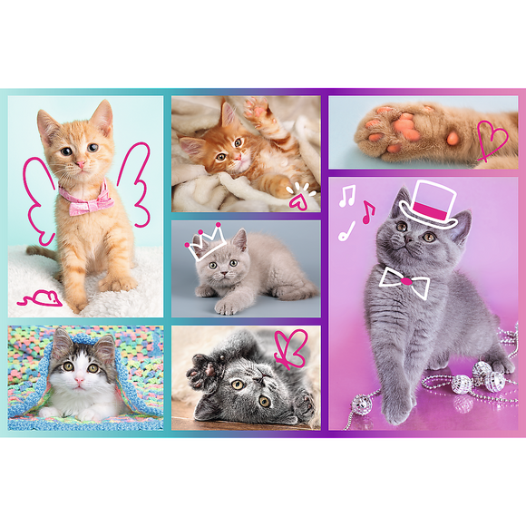 Puzzle trefl chatons 60 pièces