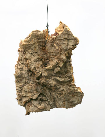 Eclat d'écorce de chêne liège - Écorce de chêne liège x 5