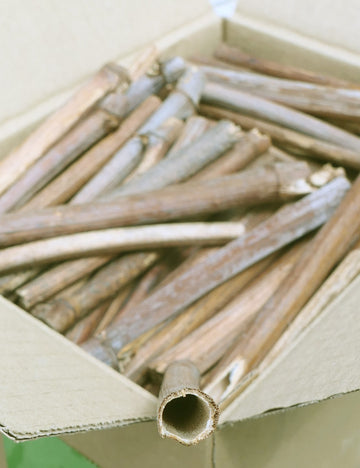 Tubes pour abeilles sauvages - refuge pour abeilles sauvages