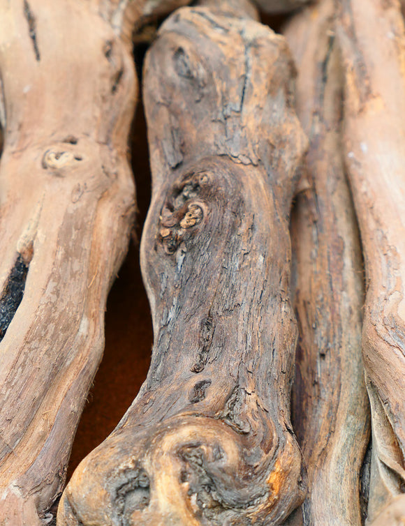 Cep de vigne 40/50 cm - Plantez votre vignoble avec qualité