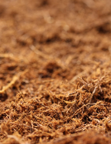 Fibres xaxim et poudre de xaxim pour vos besoins horticoles