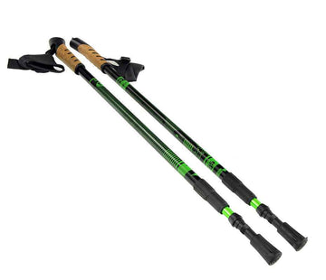 Bâtons de marche nordique SCOUT BJORN, vert