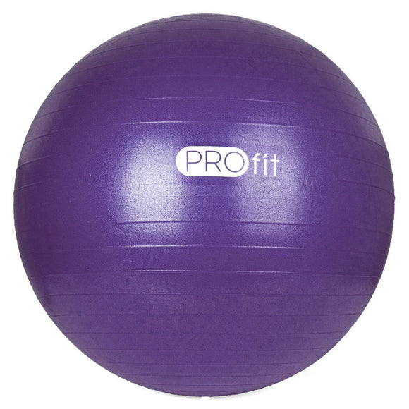 Ballon de gymnastique  profit  45 cm violet avec pompe dk 212