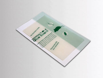 Rats souris insectes plaque adhésive - Clicktofournisseur.com