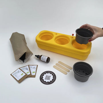 Kit potager urbain semi-hydroponique triple - jaune