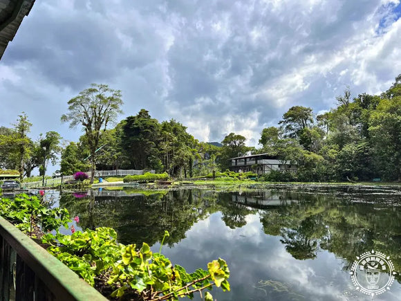 Hamac chaise xl  selva negra  broderie crochet