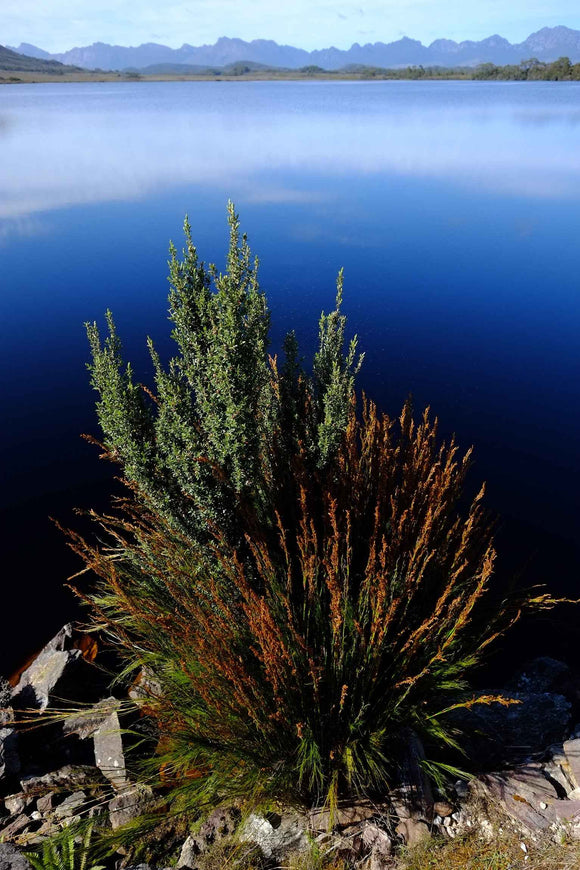 Fujifilm Fujinon XF 14 mm f/2,8 R