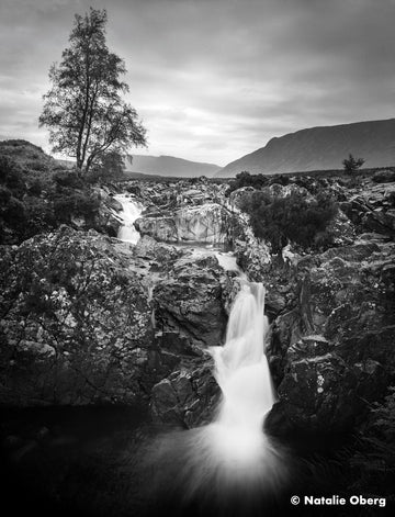 Ilford film Ortho Plus 120