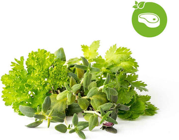 Mélange de 9 capsules de plantes Click & Grow pour steaks