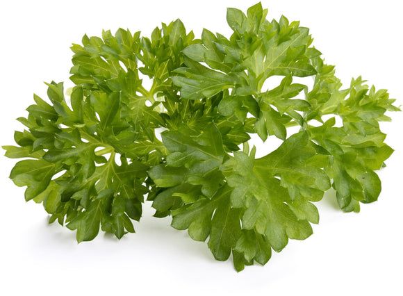 Recharge click & grow smart garden persil 3 pièces