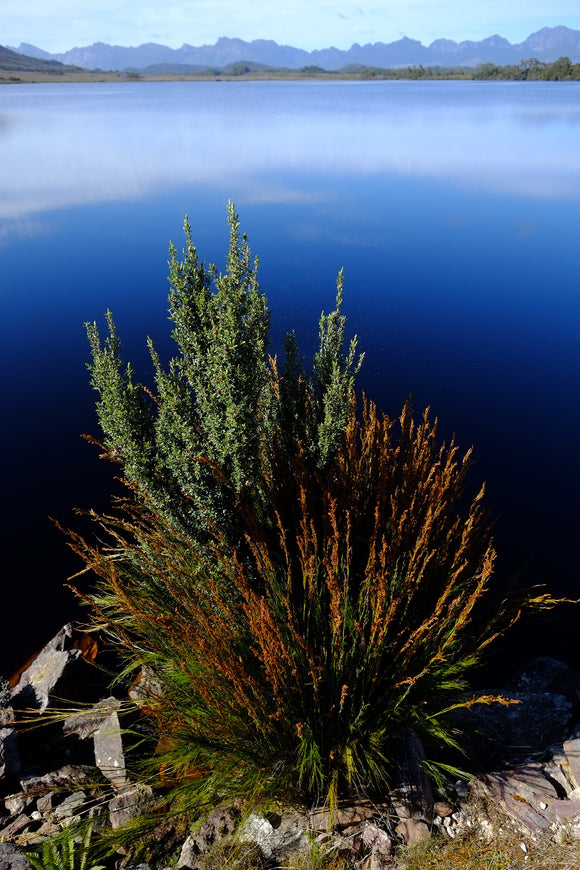 Fujifilm Fujinon XF 14 mm f/2,8 R