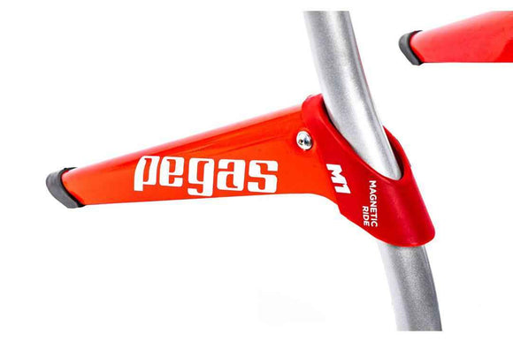 Home trainer magnetic Pegas, 24''-29''