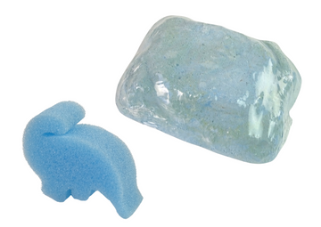 Coffret de fouilles de créatures anciennes : surprise d'ammonites