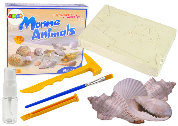 Coffret de découverte d'excavation Animaux marins