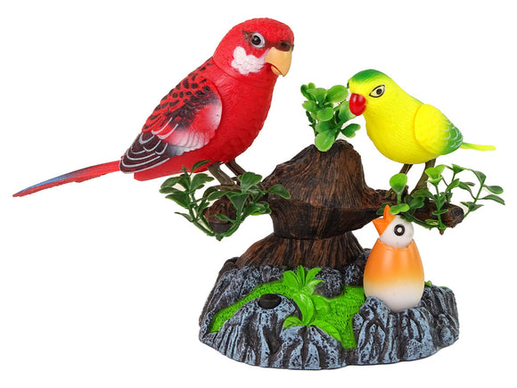 Perruches chantantes et mobiles dans un arbre coloré