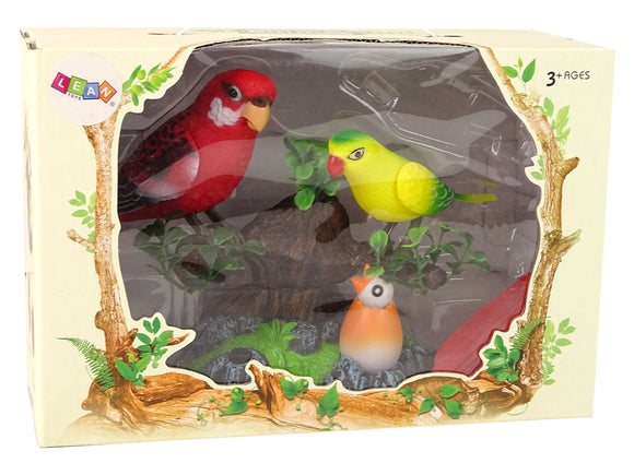 Perruches chantantes et mobiles dans un arbre coloré