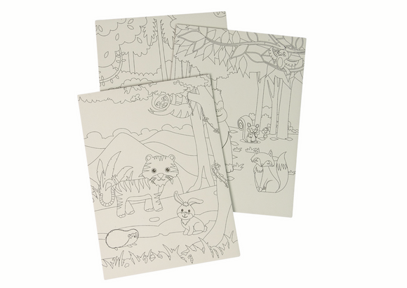 Livre de coloriage à gratter pour enfants animaux du zoo