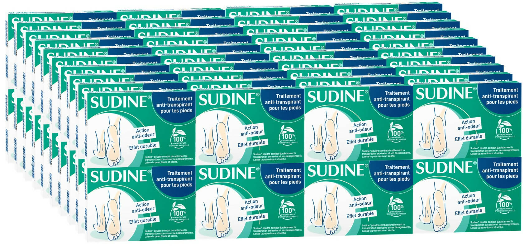 SUD006 - Sudine Poudre recto x80