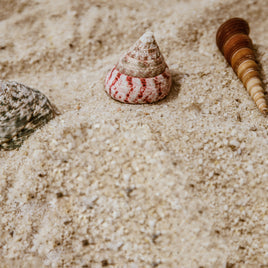 Bacs à sable clicktofournisseur.com