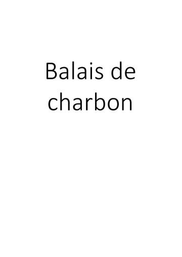 Balais de charbon clicktofournisseur.com