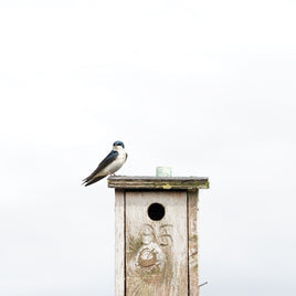 Cabanes à oiseaux et à animaux sauvages clicktofournisseur.com