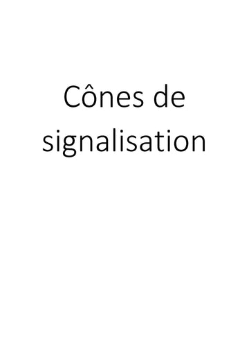 Cônes de signalisation clicktofournisseur.com