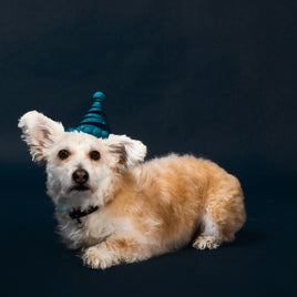 Déguisements et accessoires clicktofournisseur.com