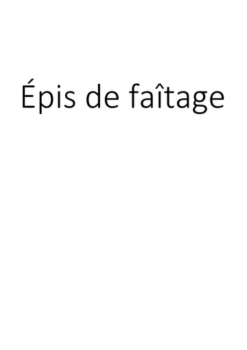 Épis de faîtage clicktofournisseur.com