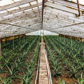 Équipements agricoles clicktofournisseur.com