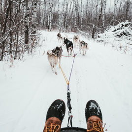 Équipements pour sports canins clicktofournisseur.com