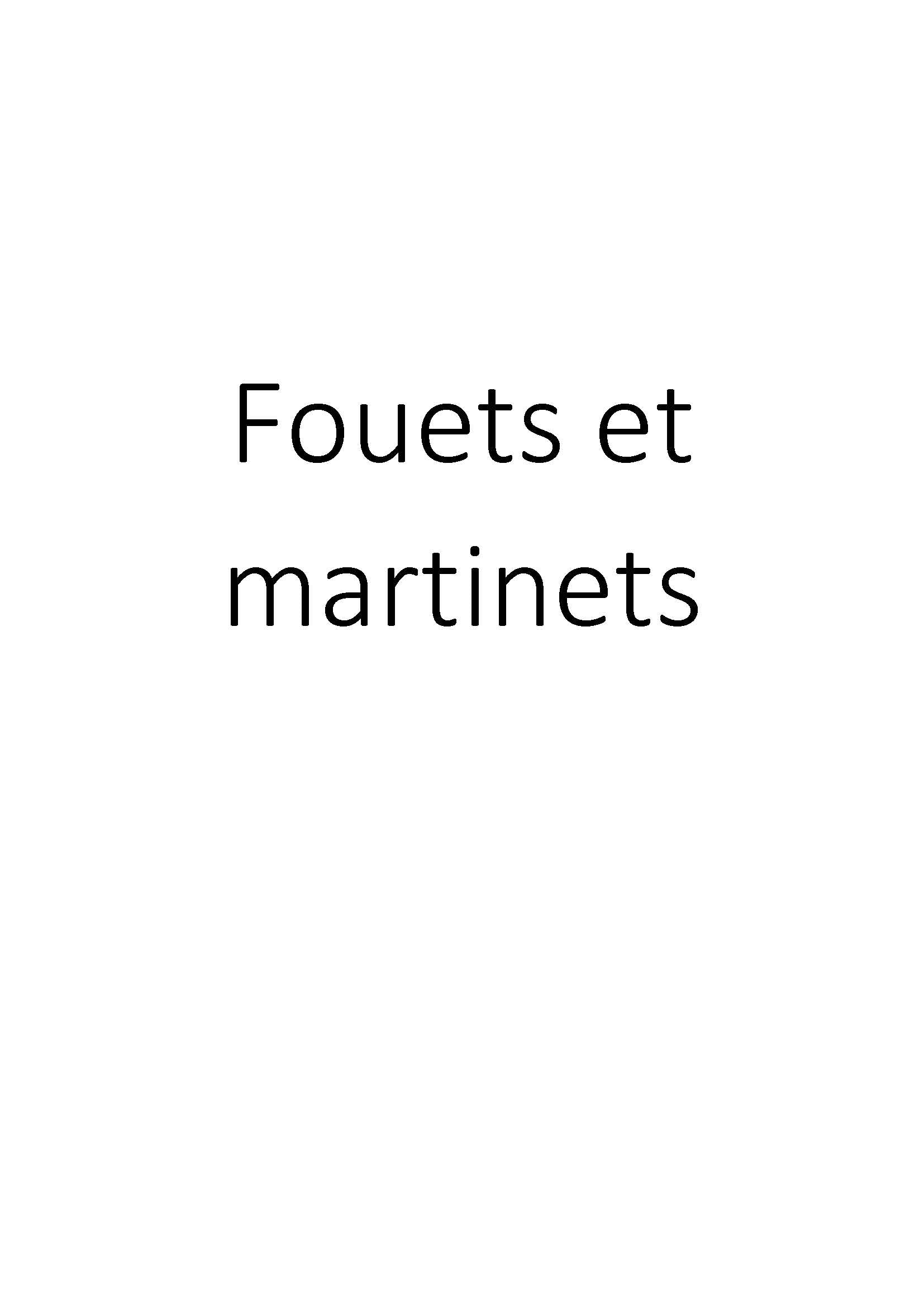 Fouets et martinets