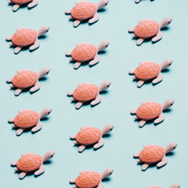 Jouets clicktofournisseur.com