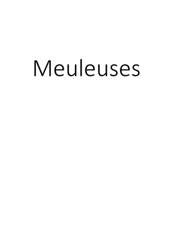 Meuleuses clicktofournisseur.com