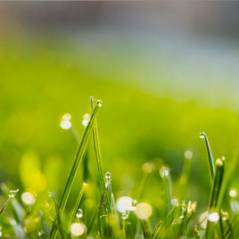 Pompes d'irrigation de gavage et pour arroseurs clicktofournisseur.com