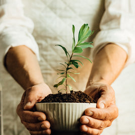 Saladiers décoratifs clicktofournisseur.com