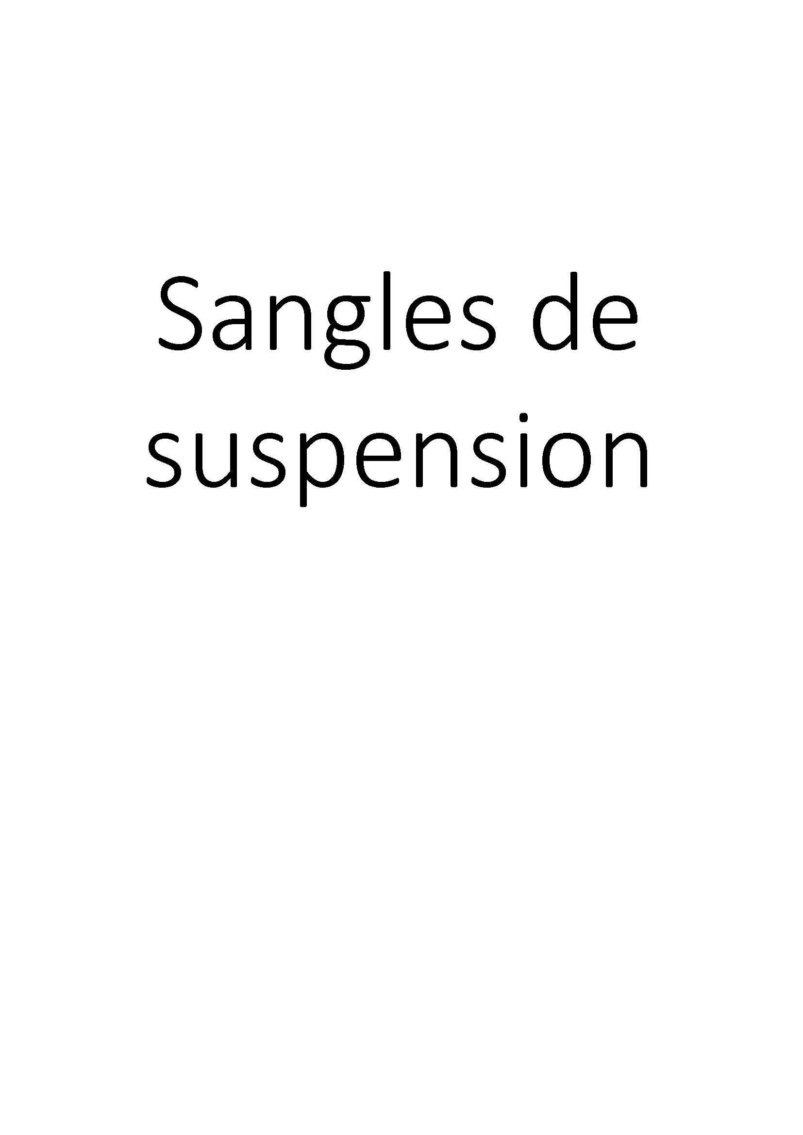Sangles de suspension clicktofournisseur.com