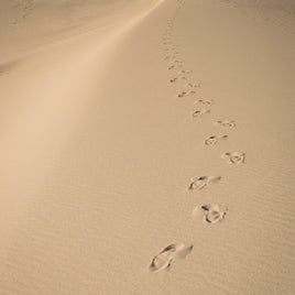 Services relatifs au tourisme et aux voyages clicktofournisseur.com