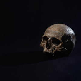 Spécimens de laboratoire clicktofournisseur.com