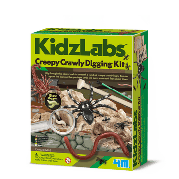 4M DIY set Creepy crawly digging