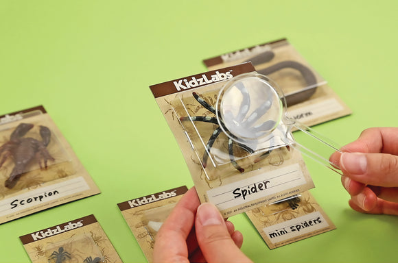 4M DIY set Creepy crawly digging