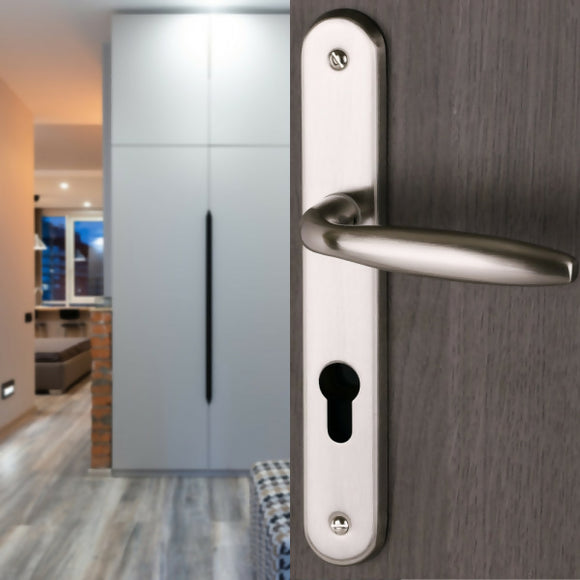 2 poignées de porte sur plaque BRISTOL, Trou de cylindre - entrée - bureau - service, Finition aluminium nickel mat, Entraxe standard 195 mm