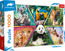 Puzzle trefl animaux 1000 pièces