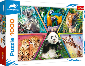 Puzzle trefl animaux 1000 pièces