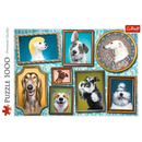 Puzzle TREFL Chiens 1000 pièces